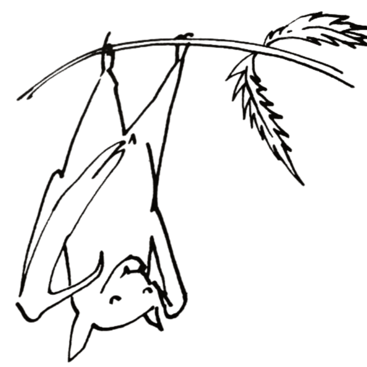 Cooking the Hashish Cookbook